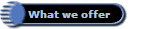What we offer