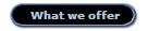 What we offer