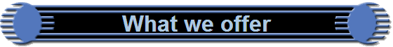 What we offer