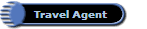   Travel Agent