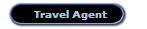   Travel Agent