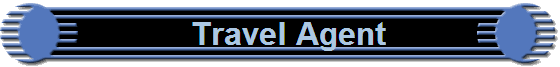   Travel Agent